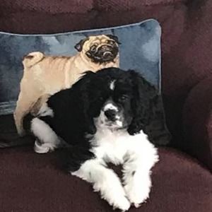 Meet your Posher, Lynn mike